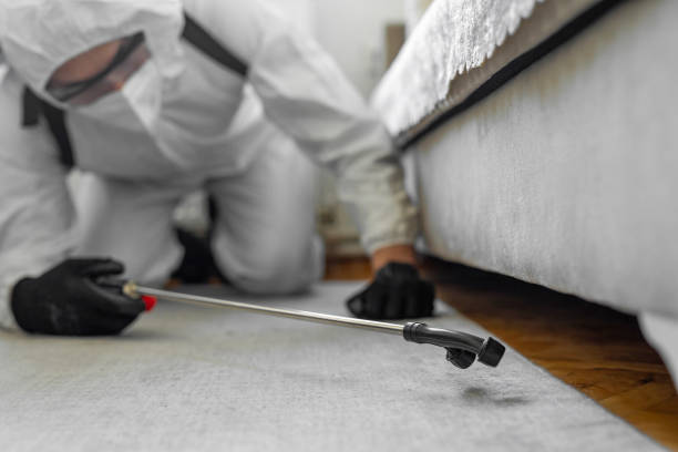 Professional Bed Bug Control technician working in Johnson County County, TX